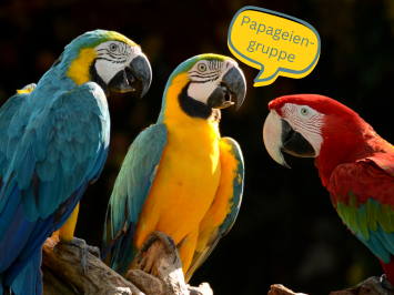 Drei farbenprächtige Papageien sitzen auf einem Ast und scheinen miteinander zu sprechen. Neben dem gelben Papagei in der Mitte ist eine Sprechblase, in der Papageiengruppe steht.